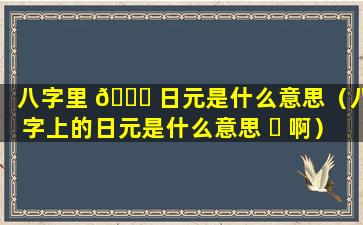 八字里 🕊 日元是什么意思（八字上的日元是什么意思 ☘ 啊）